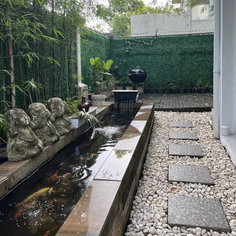 Side Yard
